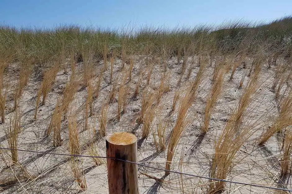 Dünen bei De Koog beste Texel Unterkunft