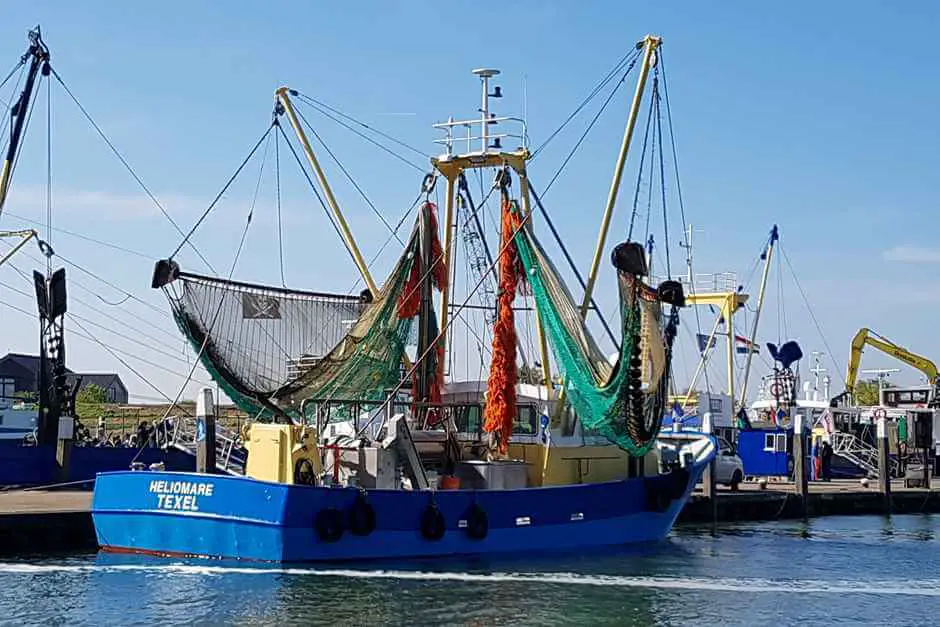 Hafen von Oudeschild Texel - Hier gibt es die beste Texel Unterkunft