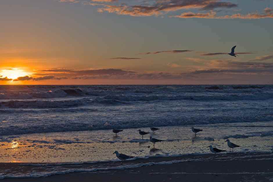 Sea and Seagulls copyright Rob Oo Flickr CC BY 20