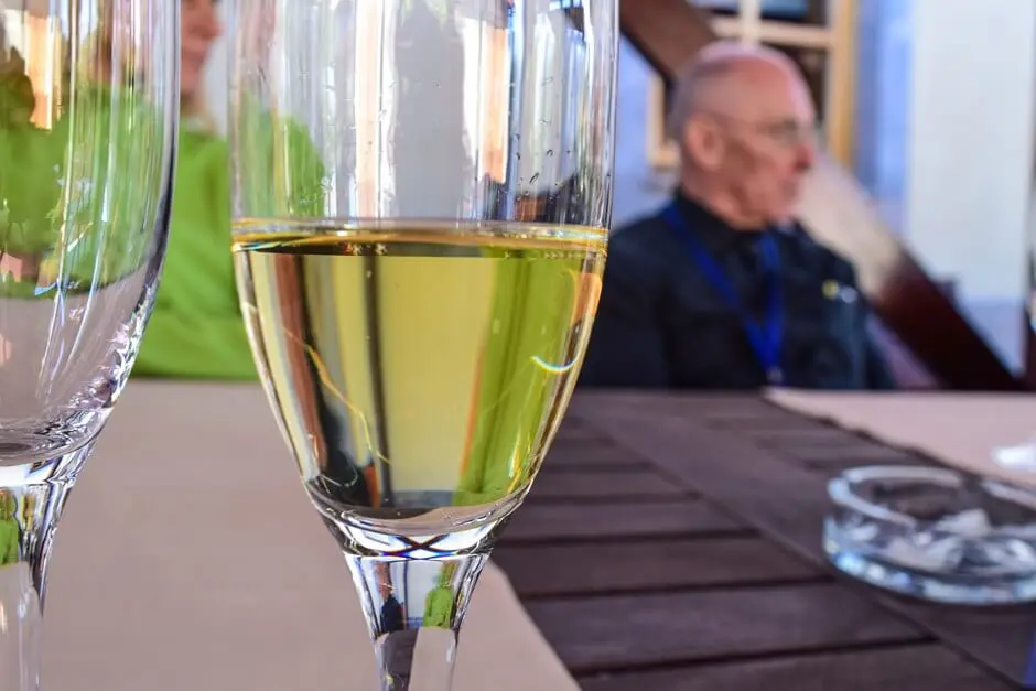 Wine experience in the Wachau