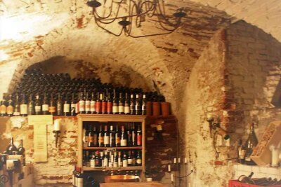 Culinary through Graz: In the wine cellar Styrian wines cost