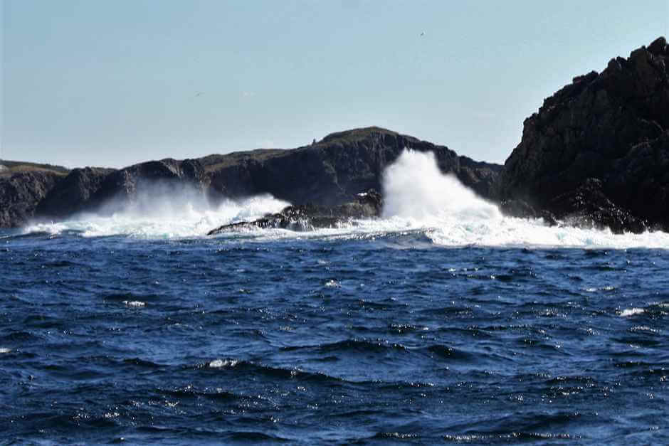 Surf in front of Twillingate Newfoundland