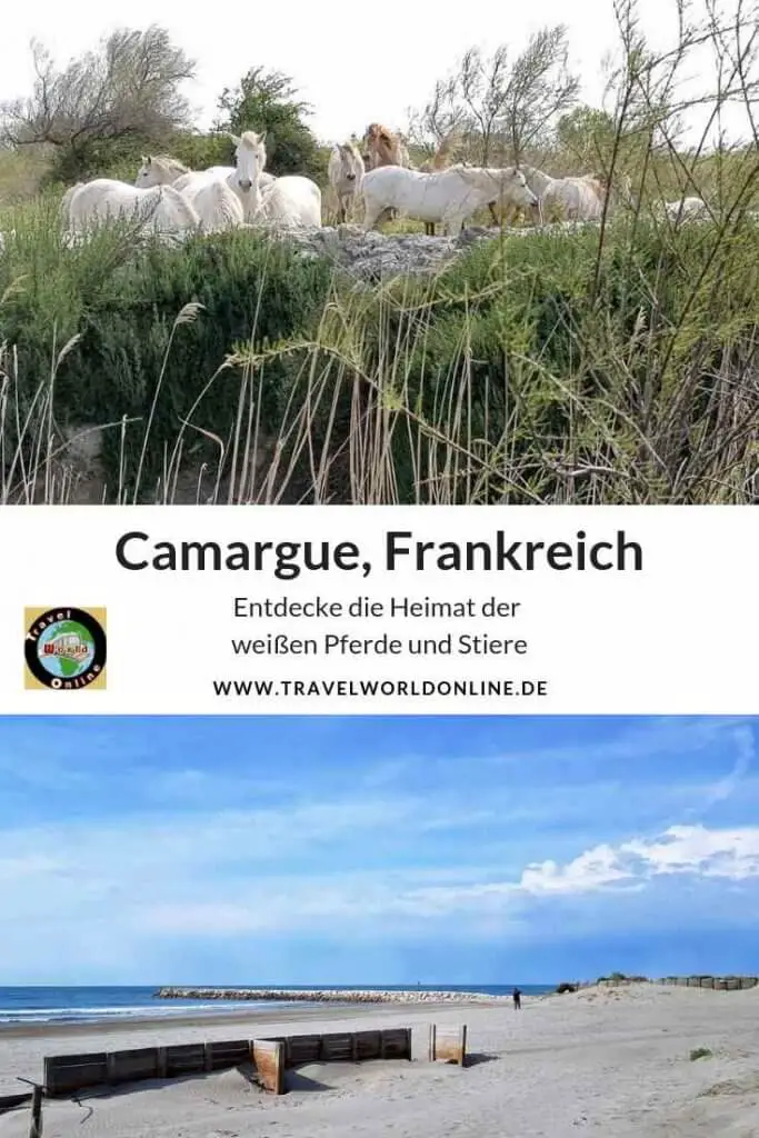 Pinne Camargue Tours , Urlaub in der Camarque Frankreich