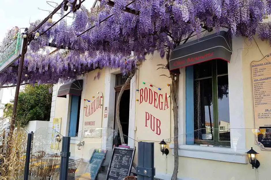 Wisteria in St Maries de la Mer Camargue Holidays in Camarque France