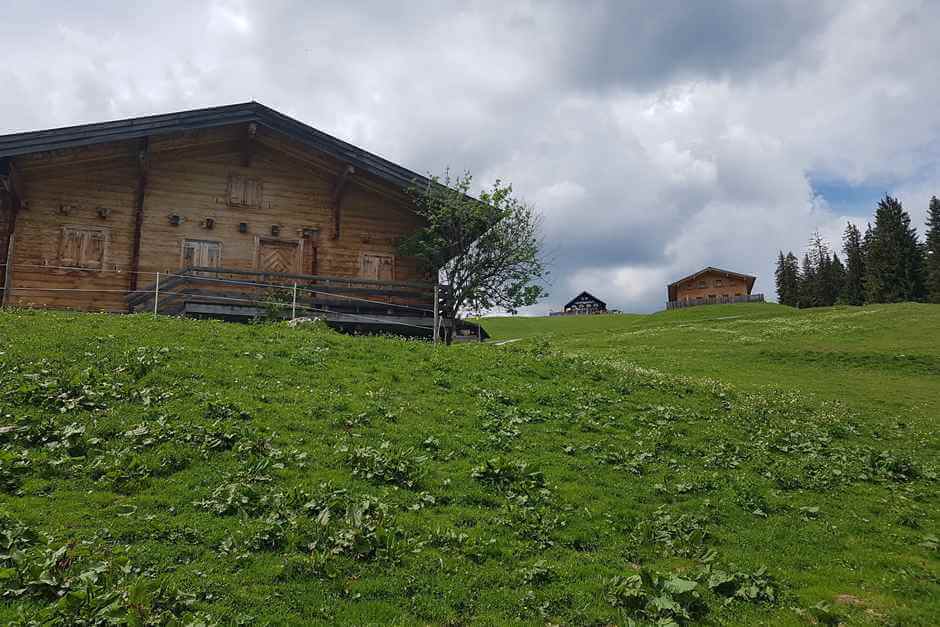 Loferer Alm huts on the steep mountain