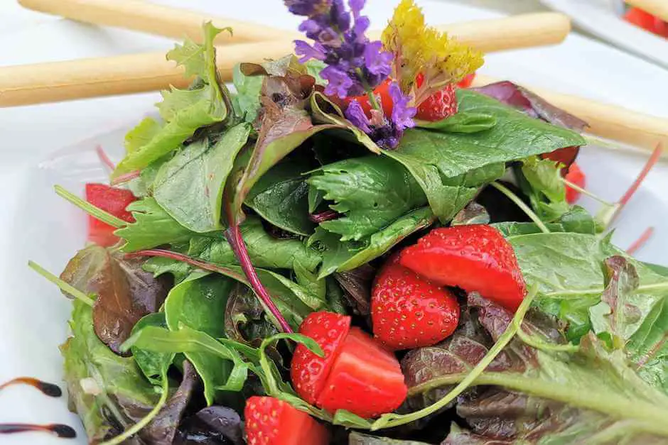 Wildkräutersalat mit Schalotten Erdbeerdressing und Grissini hessische Spezialitäten