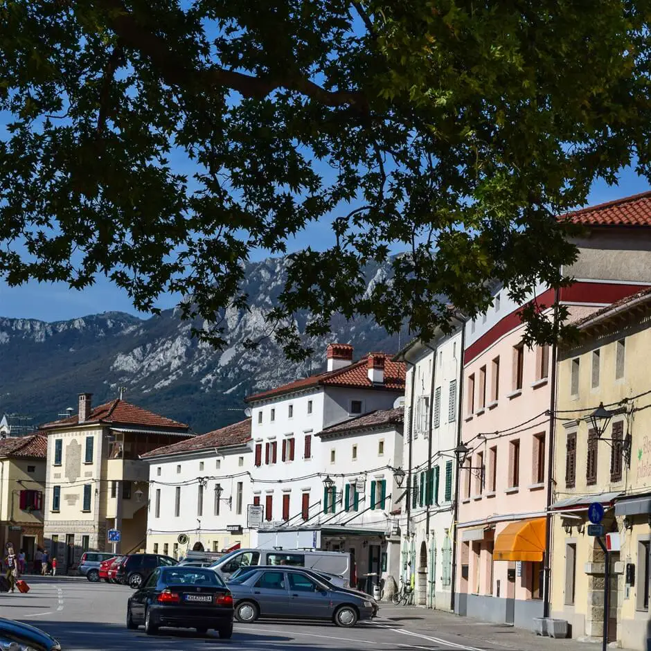 Experience Malvasia wine and more in the Vipava Valley Slovenia