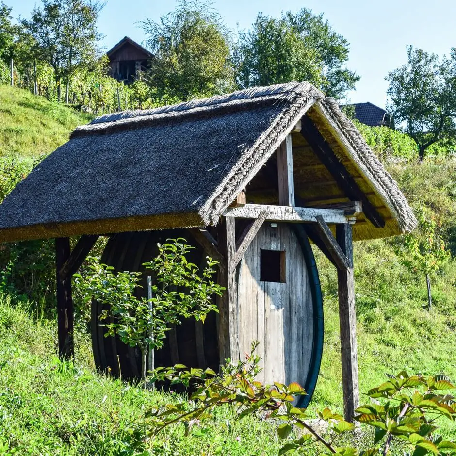 Weinreise mit Übernachtung im Weinberg 