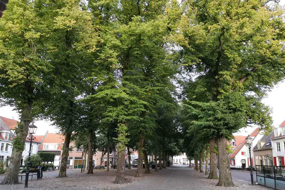 Allee am Fischmarkt - Hollands schöne Städte