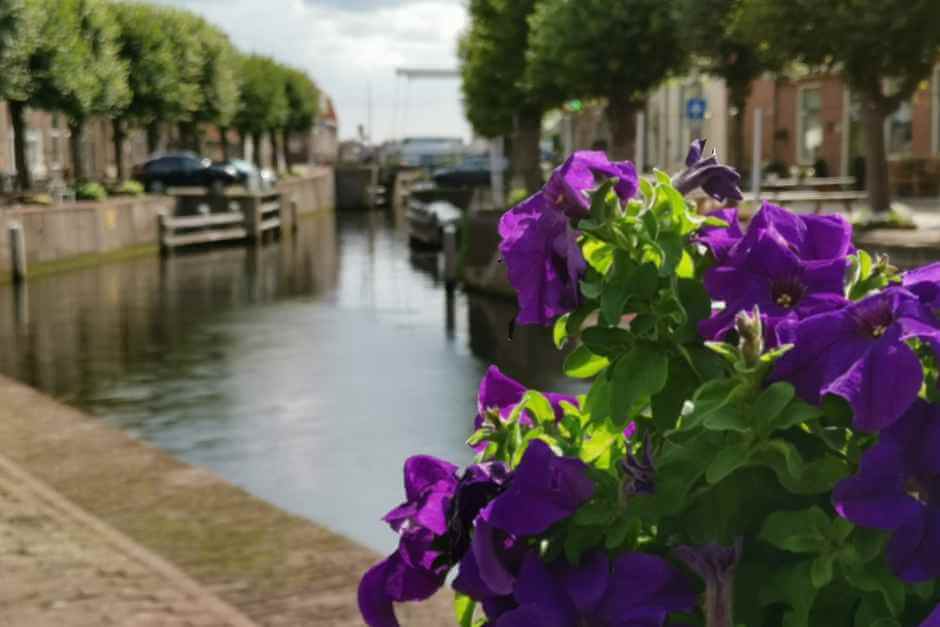 Hasselt Netherlands - Hanseatic city on Zwarte Water