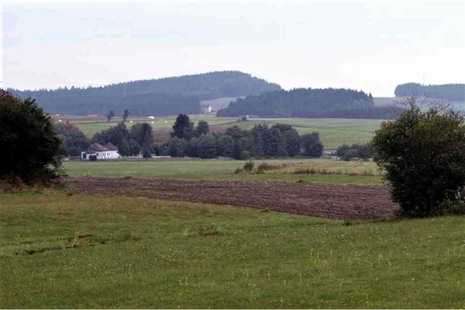 Wald- und Wiesenlandschaft um Gutenbrunn im Waldviertel Österreich