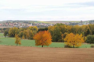 Bad Neualbenreuth