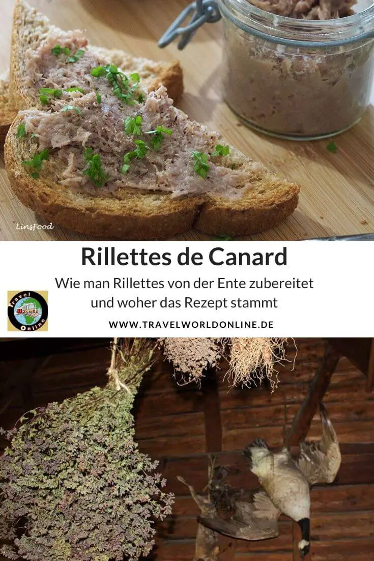 Rillettes de Canard Pinterest