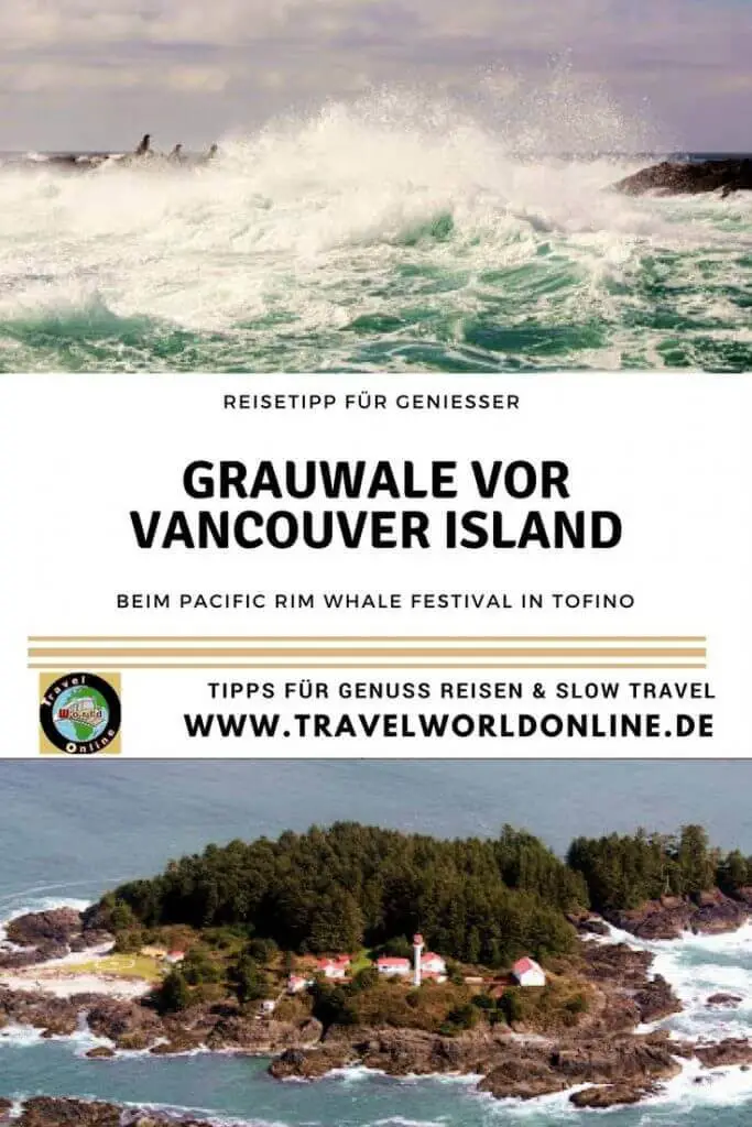 Gray whales off Vancouver Island