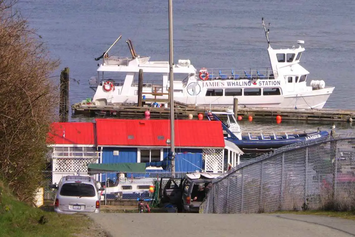 Jamie's Whaling Station