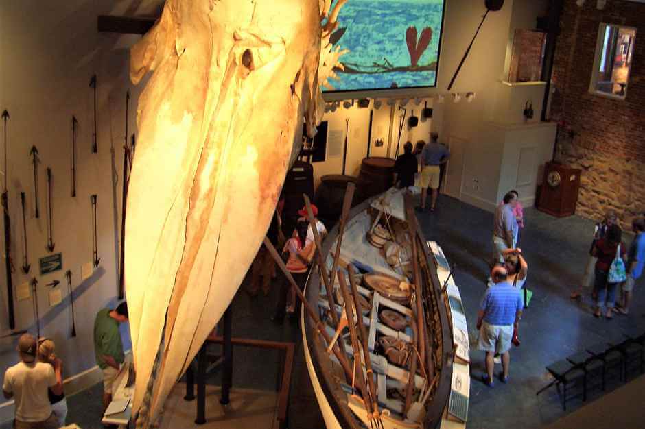 Nantucket Whale Museum