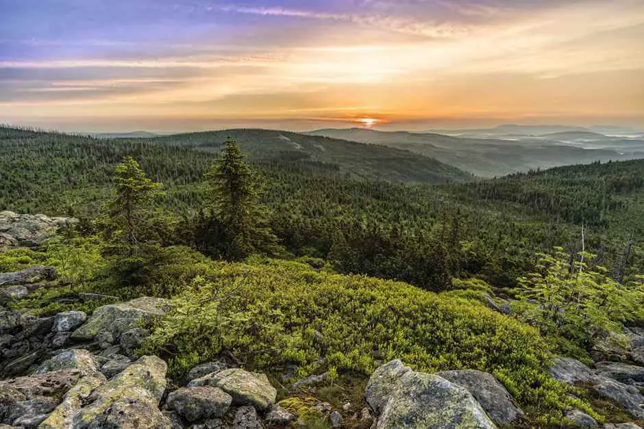 Wellness hotel in the Bavarian Forest