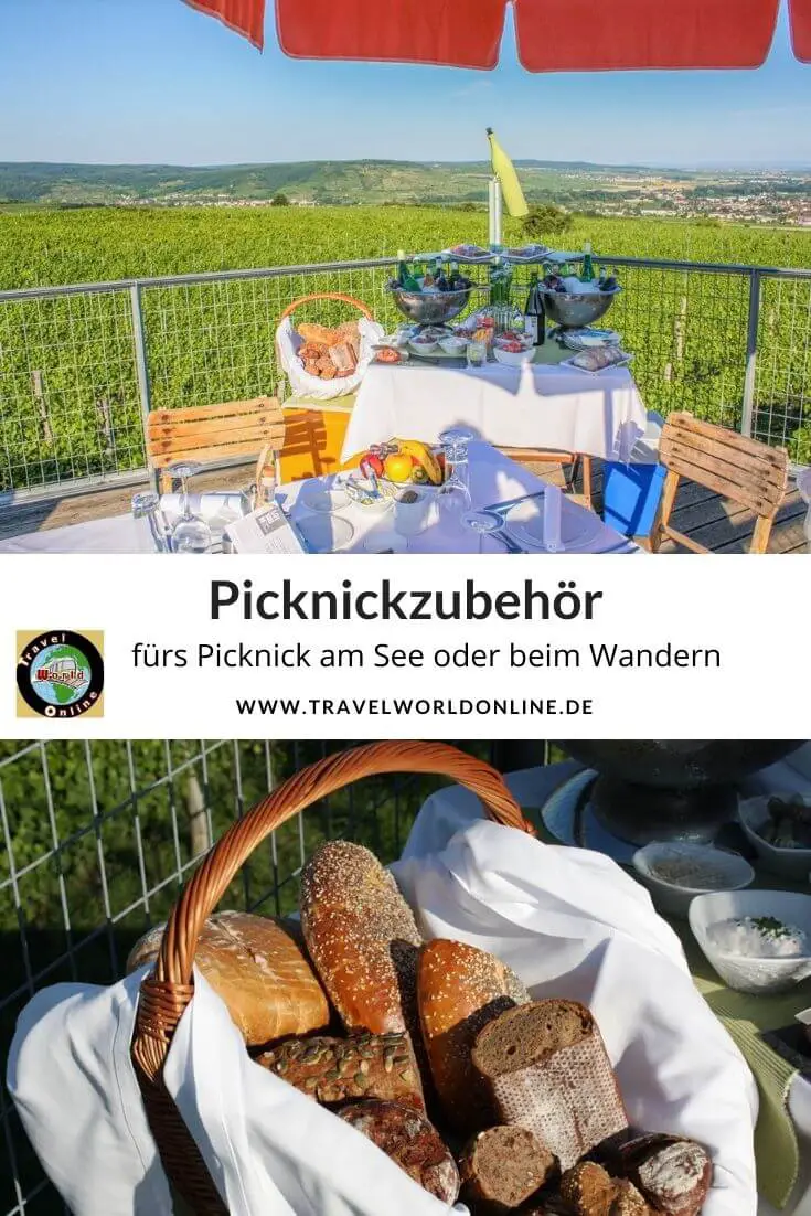 What do you need for a picnic - a picnic grill would be nice