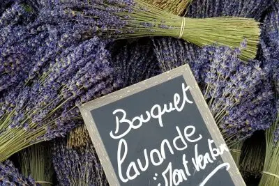 Lavendel - Provenzalische Küche