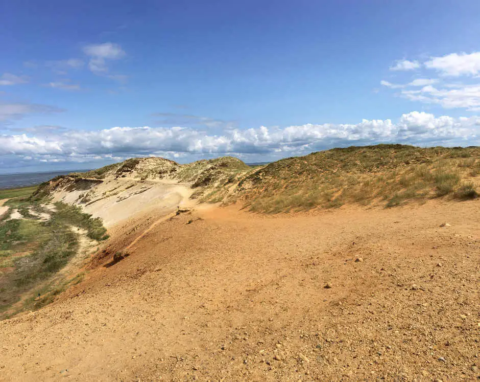 MS WellTravel Picknick auf Sylt am Morsum Kliff Blick auf die Nordsee