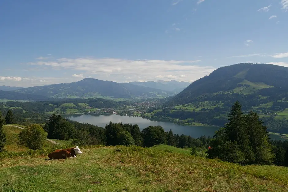 Alpseeblick Deep in the Allgäu picnic areas in Germany