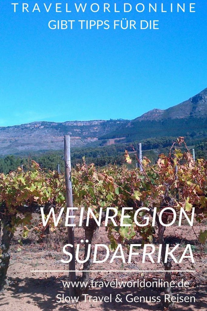 South Africa wine region