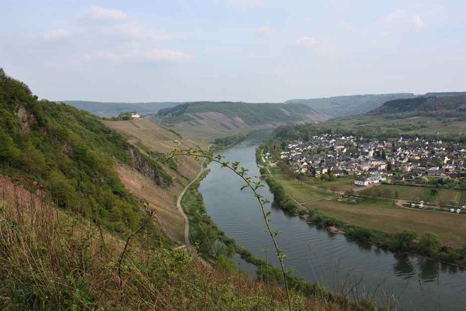 Moselle tour around Alf on the Moselle