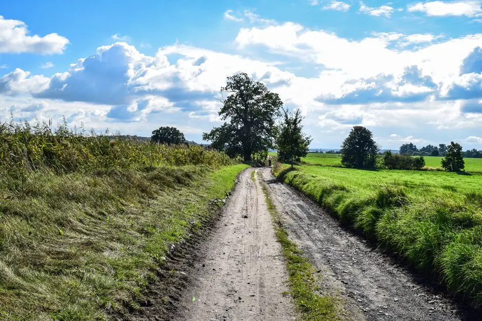 Wo kann man gut wandern in Deutschland - im Nationalpark Hoher Fläming