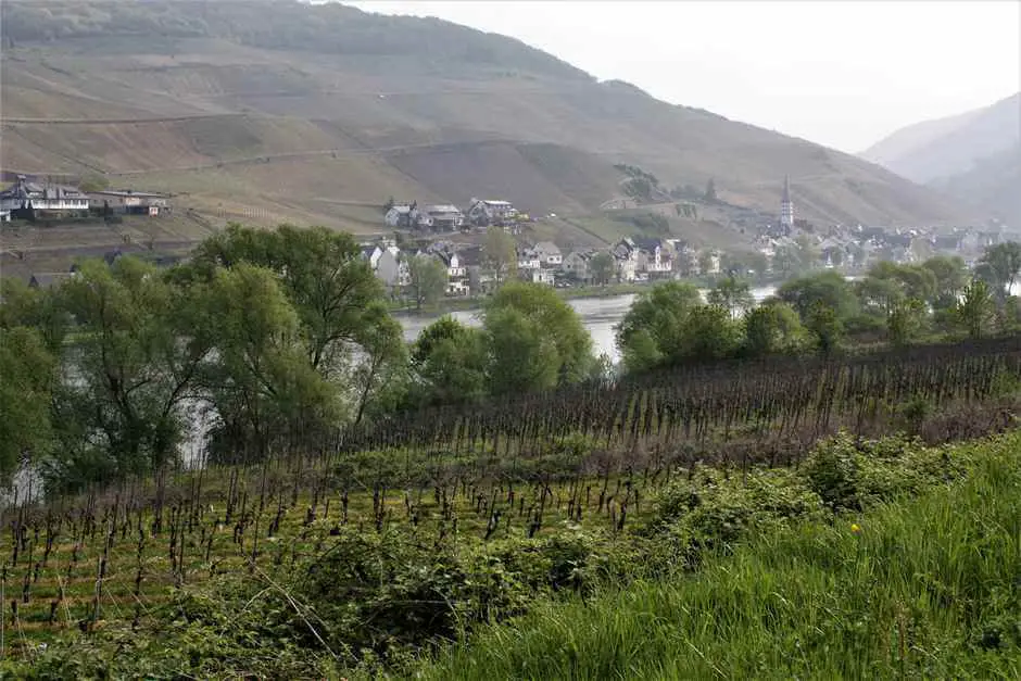 Wanderziele Deutschland - Wandern an der Mosel