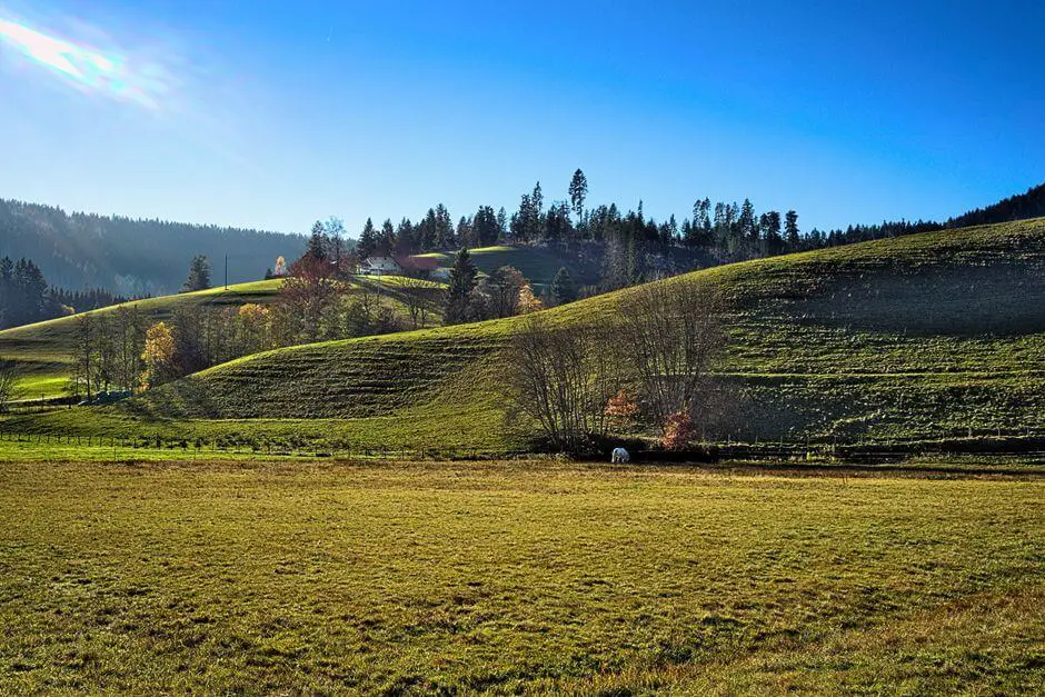 Murgtal near Baiersbronn