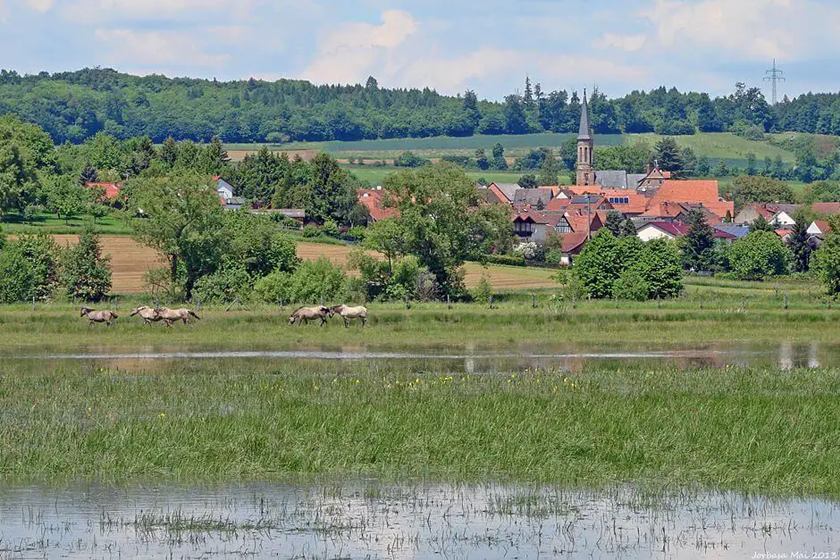 Vulkanradweg Wetterau Vogelsberg - Reisen in Deutschland Tipps