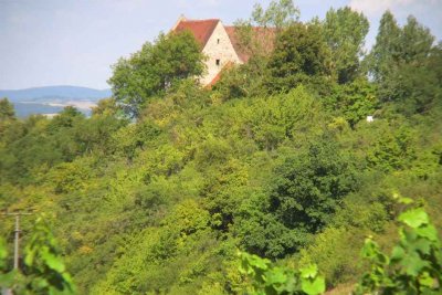 The vineyard above Ipsheim near Hoheneck Castle