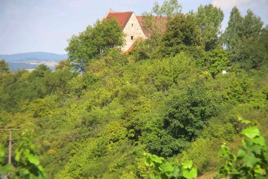 Der Weinberg oberhalb von Ipsheim bei der Burg Hoheneck