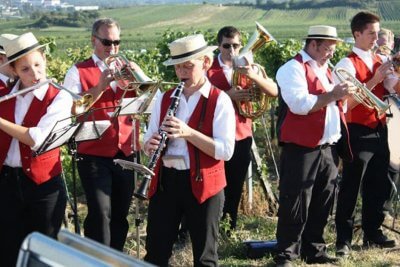 Music band at the Gumpoldskirchen pleasure mile - What to drink in Gumpoldskirchen