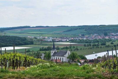 Im Weingebiet Deutschland Urlaub machen - Wipfeld in der Weinregion Franken