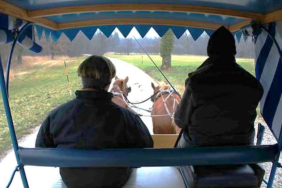 Kutsche nach Herrenchiemsee