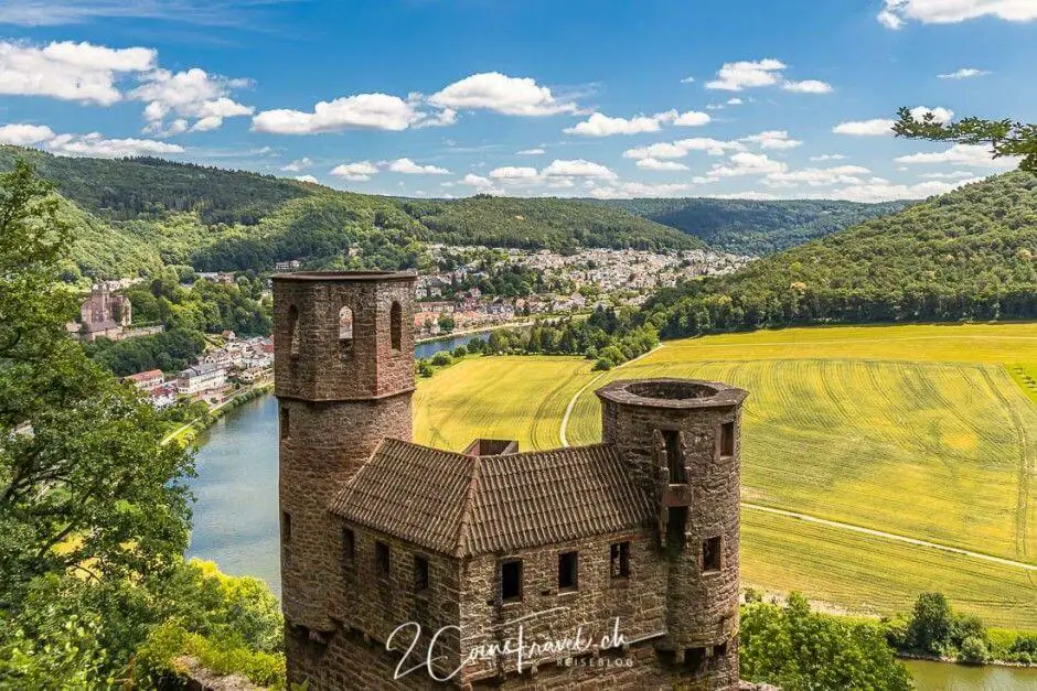 Neckarsteinach - 