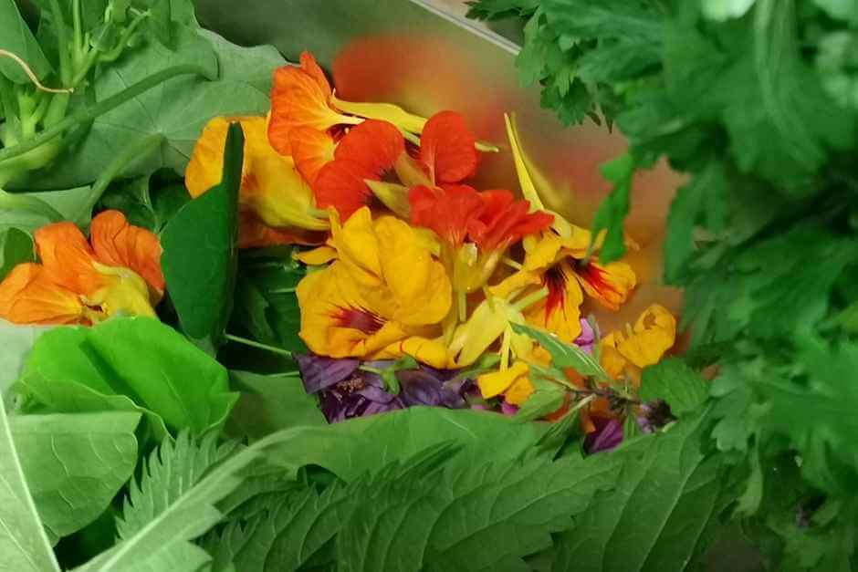 Herbs from their own field hosts in the Mühlviertel