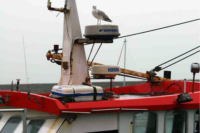 Seagull on boat