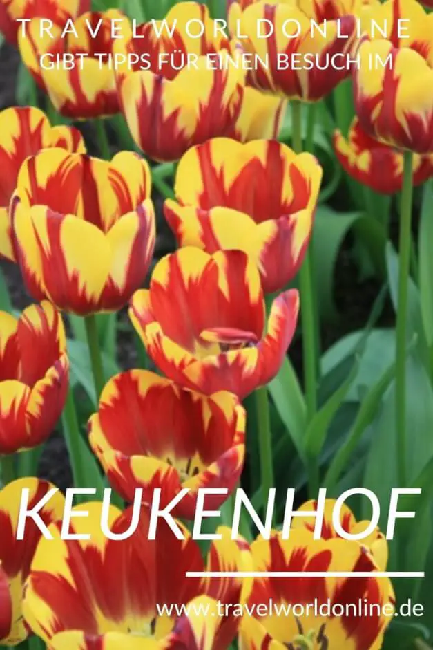 Keukenhof