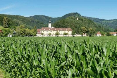 Stift Rein Steiermark