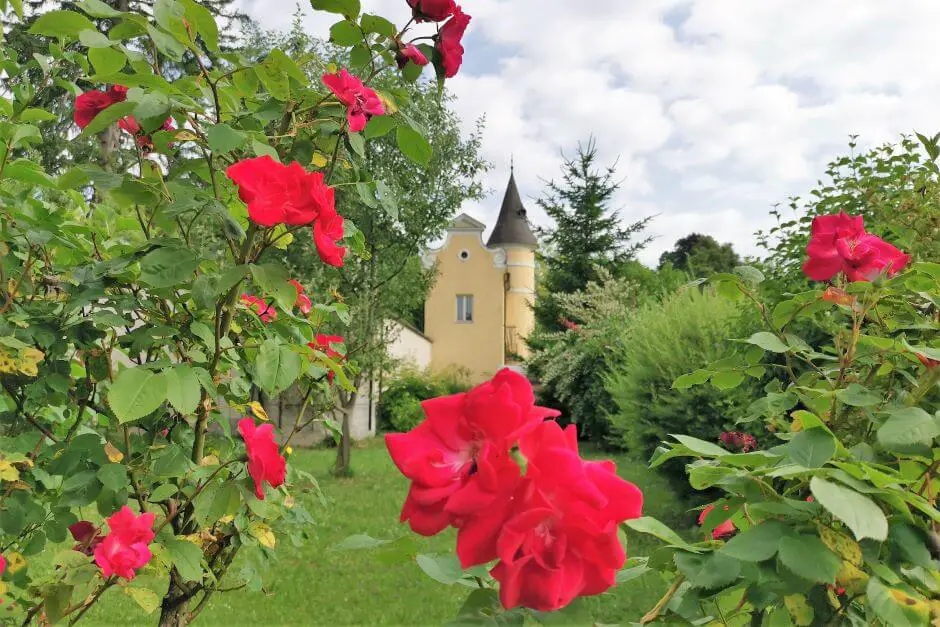 Klosterfasten im Pallottiner Schlössl Salzburg