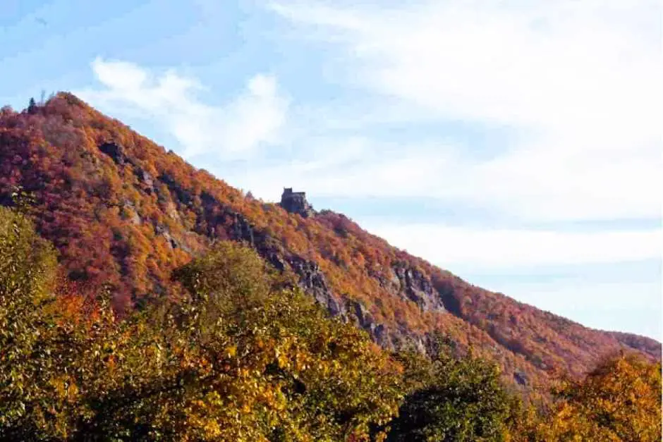 Aggstein Castle on the right bank of the Danube in the Wachau in autumn