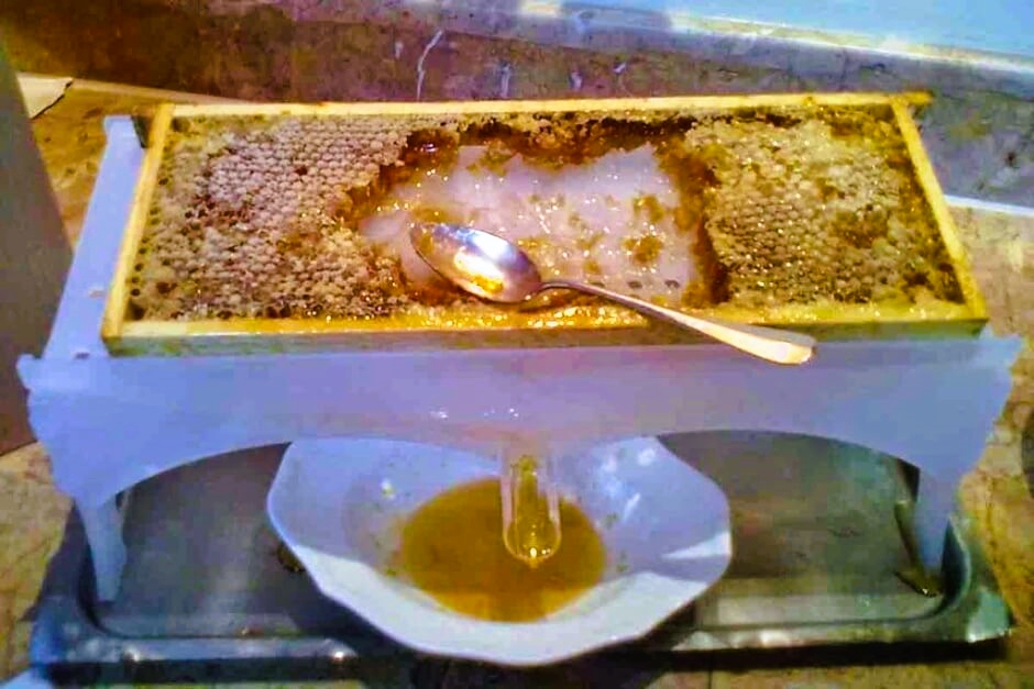It doesn't get any fresher! Honey from bee combs