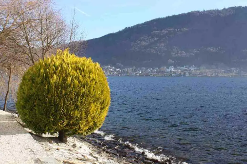 Urlaub am Traunsee Österreich