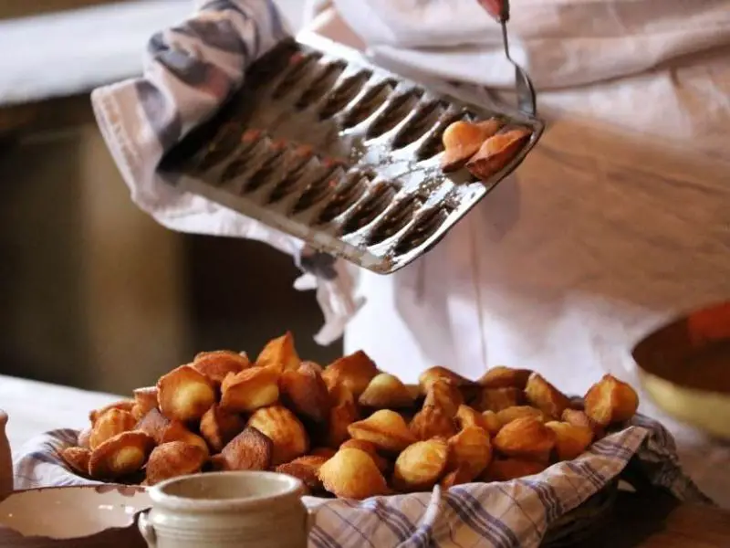 French pastries Madeleines