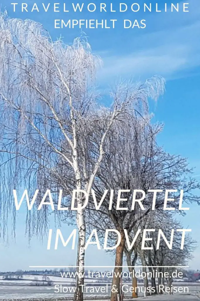 Waldviertel in Advent