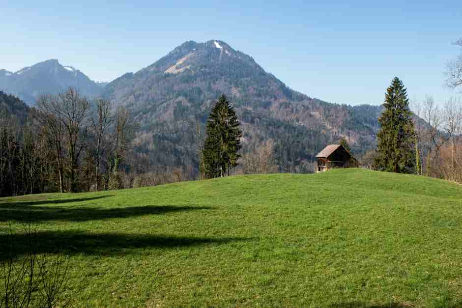 In Bödele near Schwarzenberg