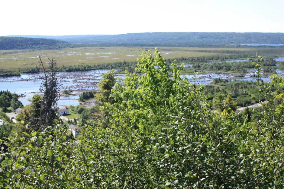 This is where Newfoundland Wines grow