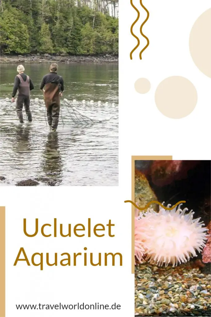 Ucluelet Aquarium